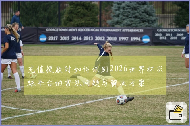 充值提款时如何识别2026世界杯买球平台的常见问题与解决方案