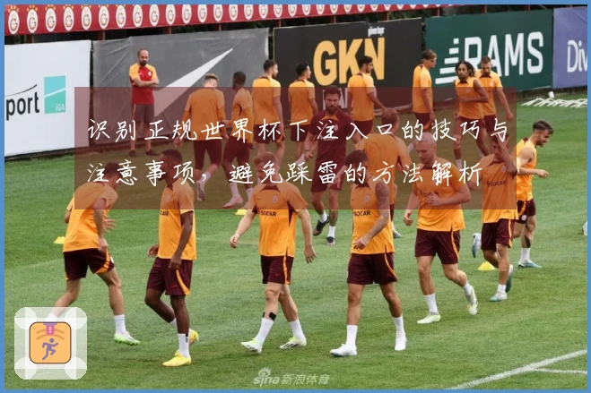 识别正规世界杯下注入口的技巧与注意事项，避免踩雷的方法解析