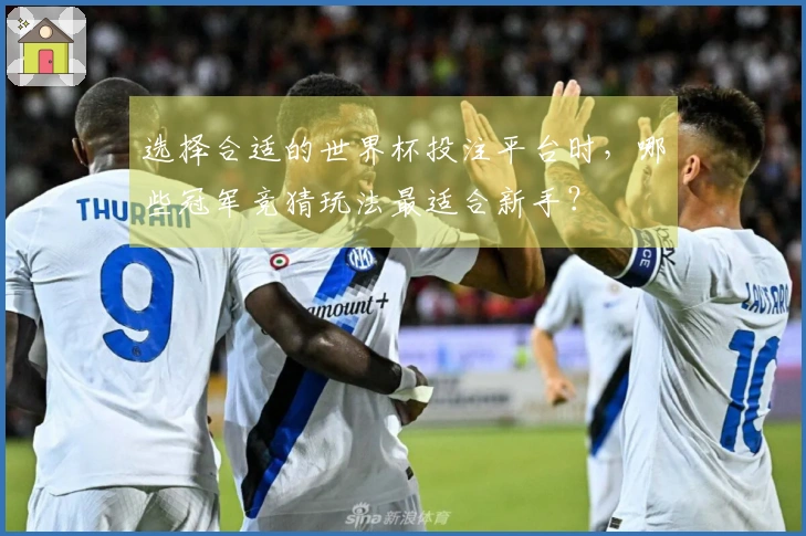 选择合适的世界杯投注平台时,哪些冠军竞猜玩法最适合新手?