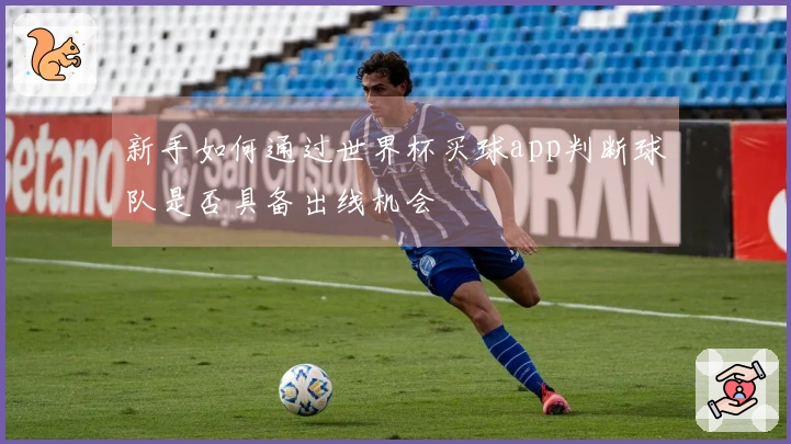 新手如何通过世界杯买球app判断球队是否具备出线机会