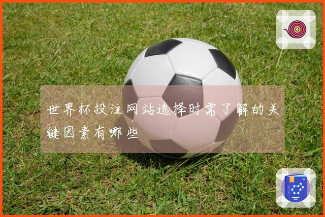 世界杯投注网站选择时需了解的关键因素有哪些