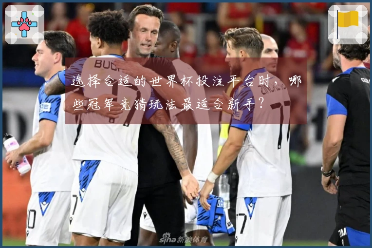 选择合适的世界杯投注平台时，哪些冠军竞猜玩法最适合新手？